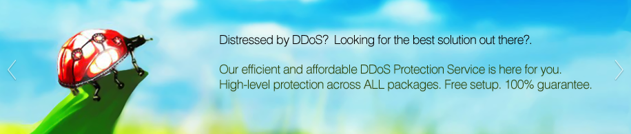 Hard working, cost-efficient DDoS protection
